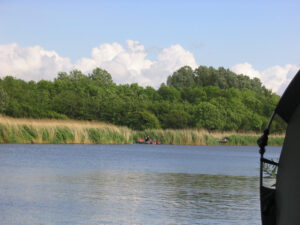 325-2005-06-04 Carpmania