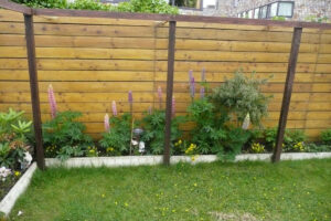 336-2009-06-08 Tuin