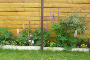 338-2009-06-08 Tuin