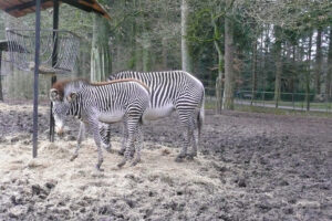 339-2007-12-25 Amersfoort en dierentuin