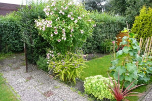 347-2008-08-03 Tuin