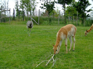 348-2006-07-09 Dierentuin