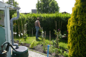352-2009-06-21 Pharos en tuin