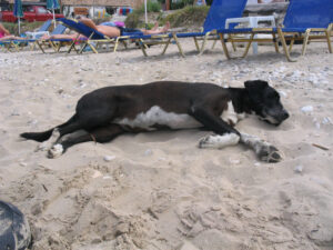 373-2004-09-17 Corfu