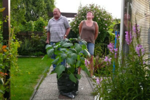 373-2008-08-16 Tuin