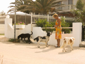 384-2004-09-20 Corfu
