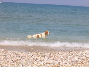 385-2005-09-10 Corfu