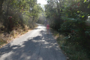426-2009-09-01 Corfu