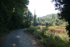 429-2009-09-01 Corfu