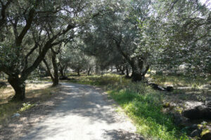 433-2009-09-01 Corfu