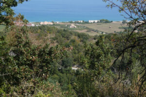 444-2009-09-01 Corfu