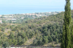 445-2009-09-01 Corfu