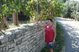 451-2009-09-02 Corfu