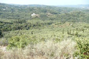 459-2009-09-02 Corfu