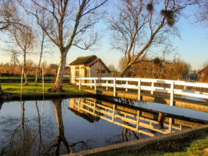 460-2004-12-26 Kerst Plashuis