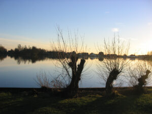 472-2004-12-26 Kerst Plashuis