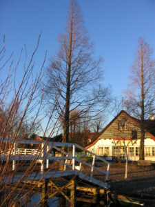 473-2004-12-26 Kerst Plashuis
