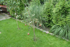 480-2010-09-04 Tuin