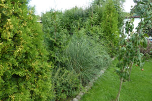482-2010-09-04 Tuin