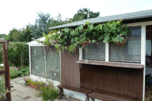 485-2010-09-04 Tuin