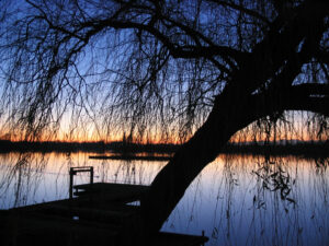 492-2004-12-26 Kerst Plashuis