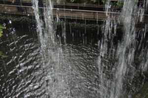 494-2006-09-25 Dierentuin