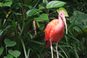 501-2006-09-25 Dierentuin