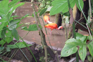 502-2006-09-25 Dierentuin
