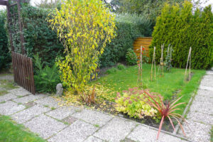 505-2008-10-13 Tuin