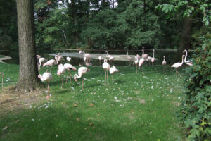515-2006-09-25 Dierentuin