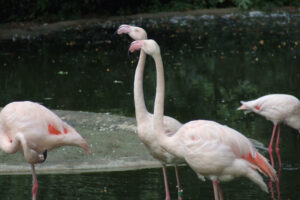 516-2006-09-25 Dierentuin