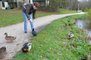 519-2008-11-25 Huttenheugte en dierentuin Emmen