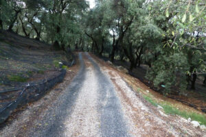 524-2010-09-26 Corfu