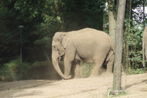 525-2006-09-25 Dierentuin