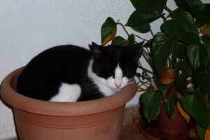 543-2010-09-29 Corfu