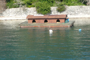 547-2009-09-03 Corfu - Paxos en Anti Paxos