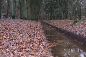 550-2006-12-31 Loenen en de Loenense watervallen