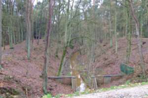 563-2006-12-31 Loenen en de Loenense watervallen