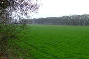 565-2006-12-31 Loenen en de Loenense watervallen