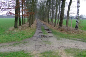 566-2006-12-31 Loenen en de Loenense watervallen