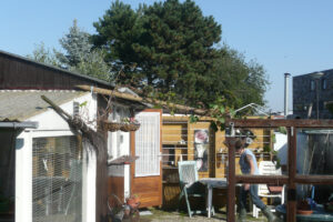 568-2010-10-09 Tuin