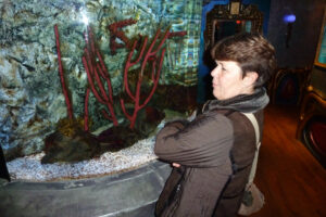 585-2010-10-29 Sealife Scheveningen