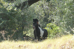 586-2009-09-09 Corfu wandelen een andere kant uit