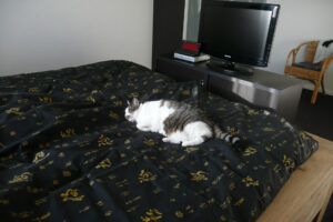 593-2009-09-24 Joepie