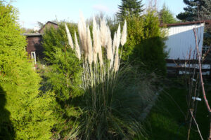 600-2009-12-13 Tuin