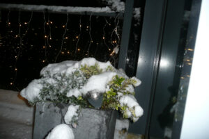 601-2009-12-17 Sneeuw
