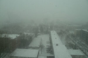 607-2010-12-04 Sneeuw