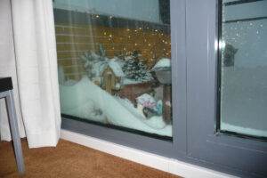 608-2009-12-20 Sneeuw