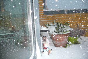 610-2009-12-20 Sneeuw