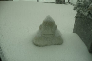613-2009-12-20 Sneeuw